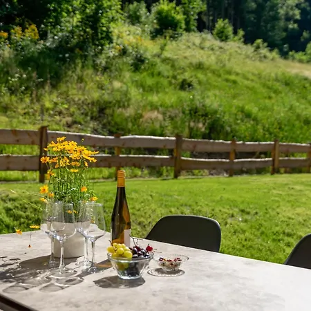 Tauernlodge Eben C4 Alpstuga Eben Im Pongau